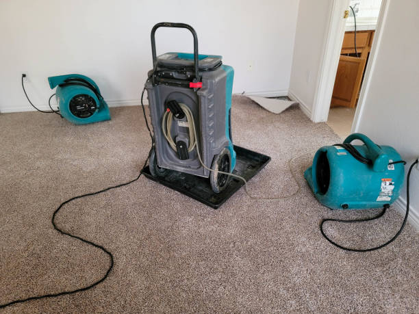 Best Water damage cleanup near me  in Basye, VA