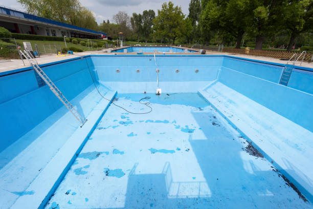 Best Basement water damage restoration  in Basye, VA