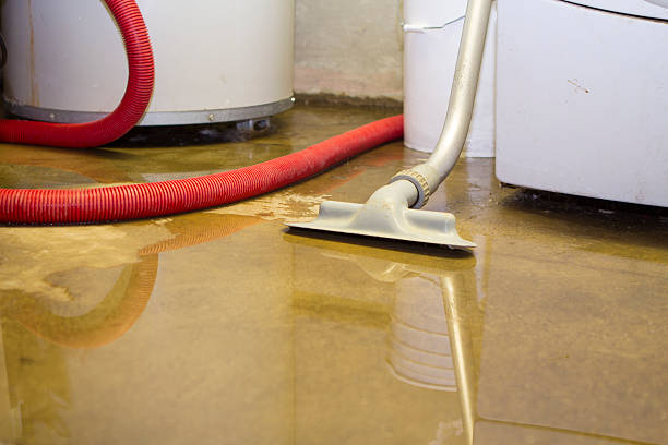Best 24-hour water damage restoration  in Basye, VA