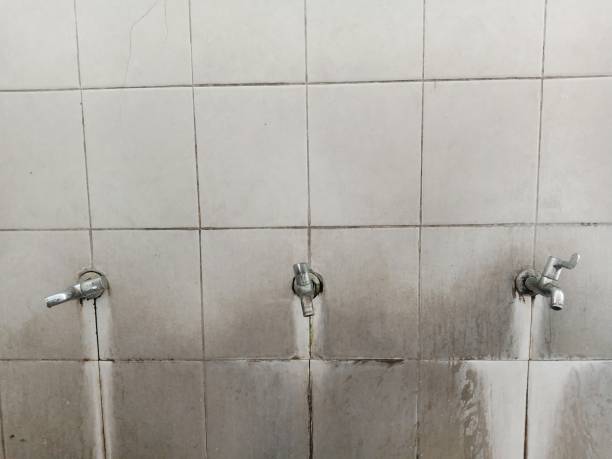 Best Water damage restoration near me  in Basye, VA