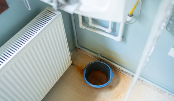 Best Water damage contractors near me  in Basye, VA